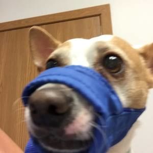 Meet your Posher, Sloto